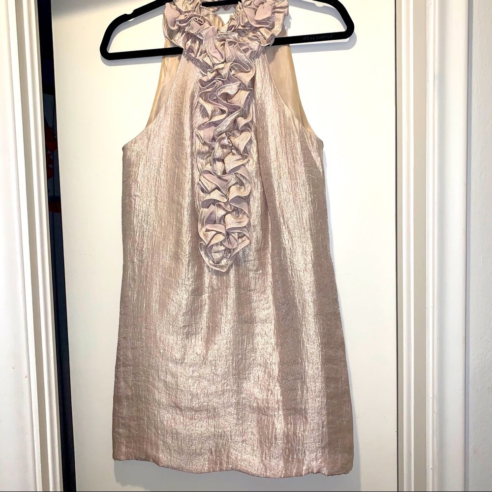 Boston Proper Champagne Ruffle Neck Dress